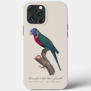 Perruche a tete bleue, femelle / Rainbow lorikeet, iPhone 13 Pro Max Case