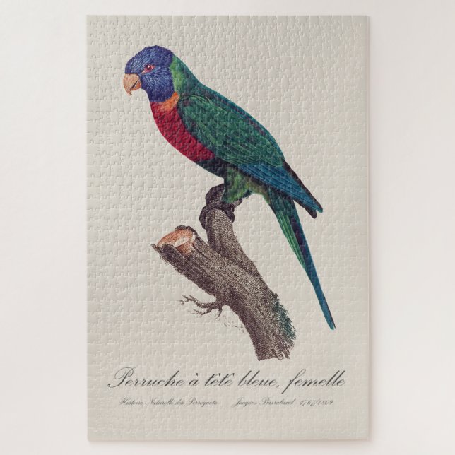Perruche a tete bleue, femelle / Rainbow lorikeet, Jigsaw Puzzle (Vertical)