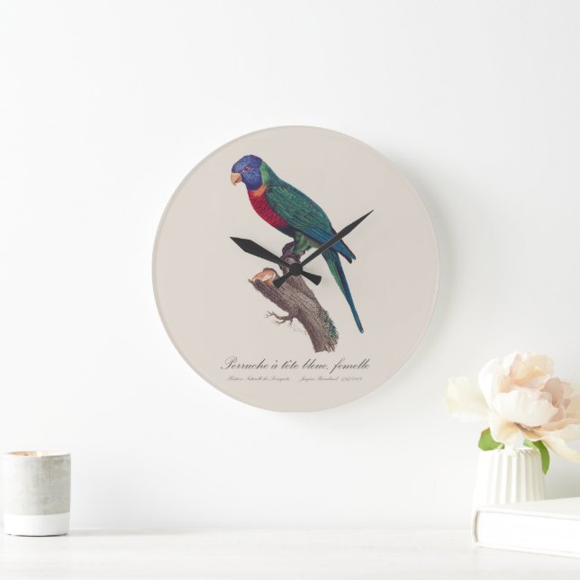 Perruche a tete bleue, femelle / Rainbow lorikeet, Large Clock (Home)