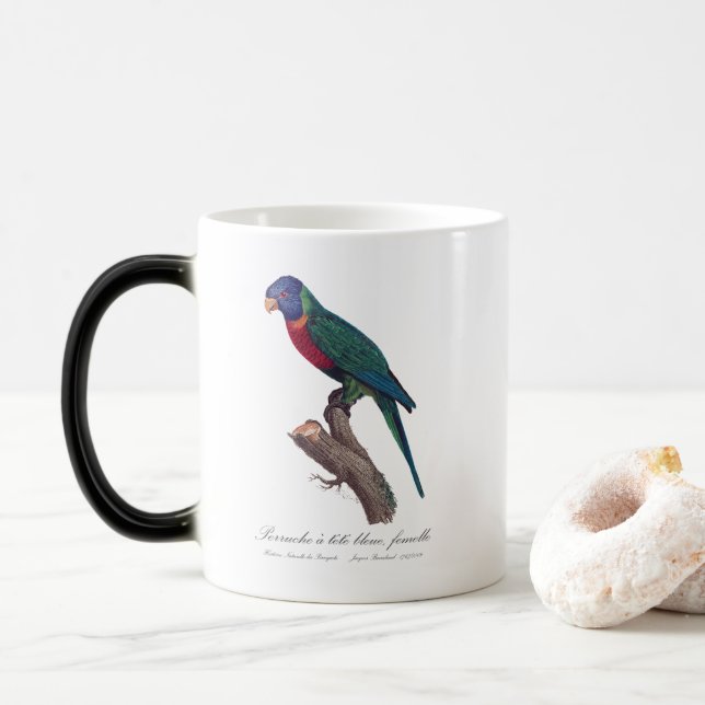 Perruche a tete bleue, femelle / Rainbow lorikeet, Magic Mug (With Donut)