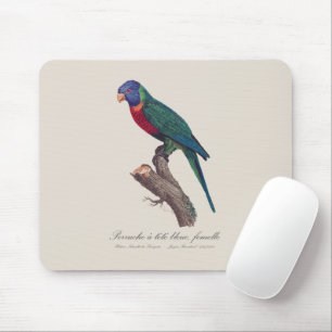 Perruche a tete bleue, femelle / Rainbow lorikeet, Mouse Mat