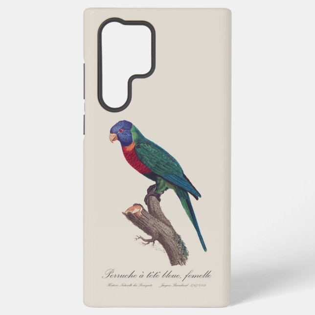 Perruche a tete bleue, femelle / Rainbow lorikeet, Samsung Galaxy S22 Ultra Case (Back)