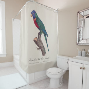 Perruche a tete bleue, femelle / Rainbow lorikeet, Shower Curtain