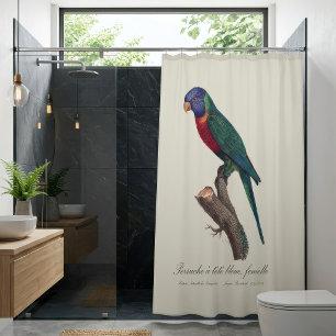 Perruche a tete bleue, femelle / Rainbow lorikeet, Shower Curtain