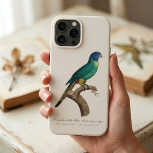 Perruche a tete bleue / Rainbow lorikeet, juvenile iPhone 13 Pro Max Case