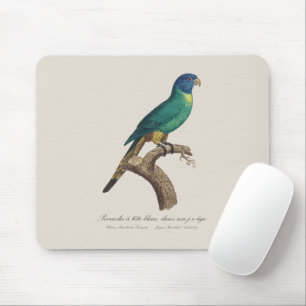 Perruche a tete bleue / Rainbow lorikeet, juvenile Mouse Mat