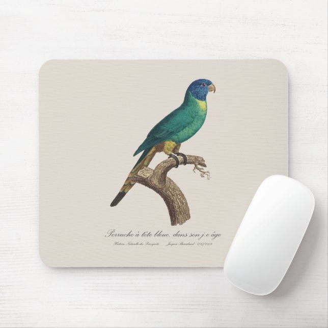 Perruche a tete bleue / Rainbow lorikeet, juvenile Mouse Mat (With Mouse)