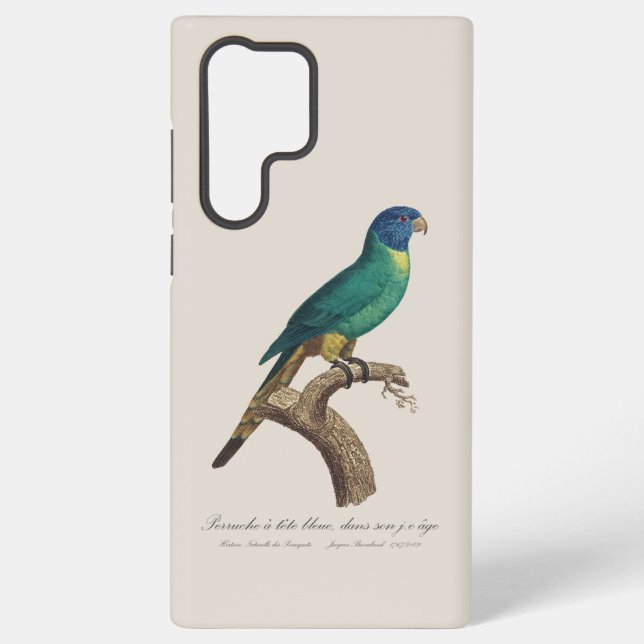 Perruche a tete bleue / Rainbow lorikeet, juvenile Samsung Galaxy S22 Ultra Case (Back)