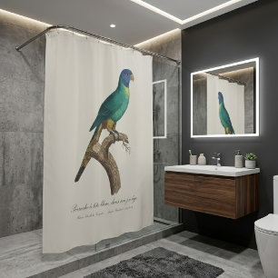 Perruche a tete bleue / Rainbow lorikeet, juvenile Shower Curtain