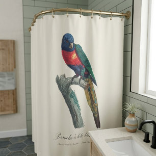 Perruche a tete bleue / Rainbow lorikeet  Shower Curtain