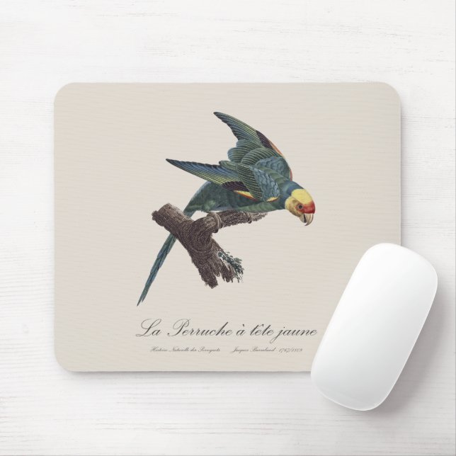 Perruche a Tete Jaune / Carolina parakeet Mouse Mat (With Mouse)