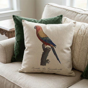 Perruche Ara, Guarouba  / Sun parakeet  Cushion