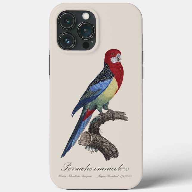 Perruche omnicolore / Eastern rosella  Case-Mate iPhone Case (Back)