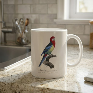 Perruche omnicolore / Eastern rosella  Coffee Mug