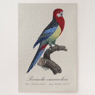 Perruche omnicolore / Eastern rosella  Jigsaw Puzzle