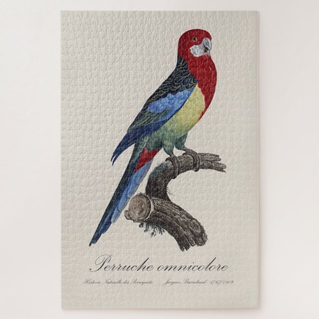 Perruche omnicolore / Eastern rosella  Jigsaw Puzzle (Vertical)