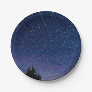 Perseid Meteor Shower Paper Plate