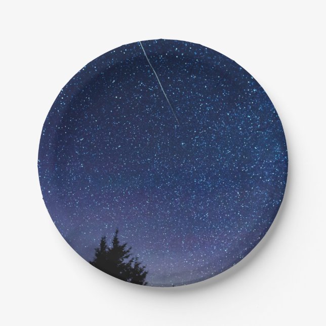 Perseid Meteor Shower Paper Plate (Front)
