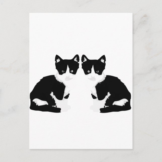 persephone&hades 'tuxedo cat' postcard (Front)