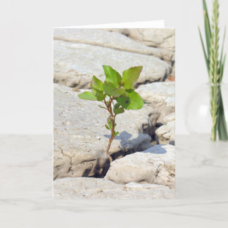 perserverance card