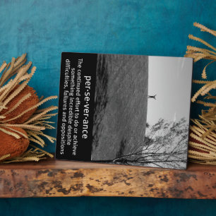 Perseverance Definition Plaque