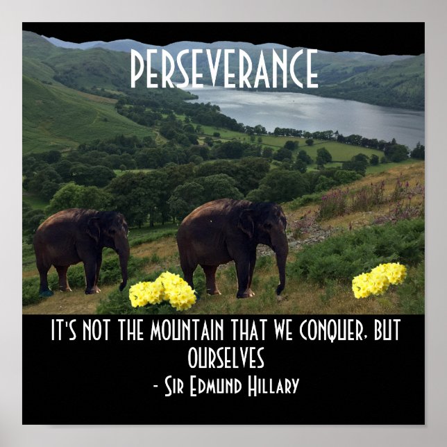 Perseverance Elephants Motivational Quote Poster (Front)
