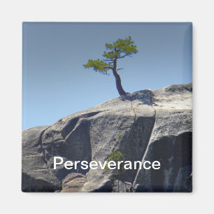 Perseverance ~ Magnet