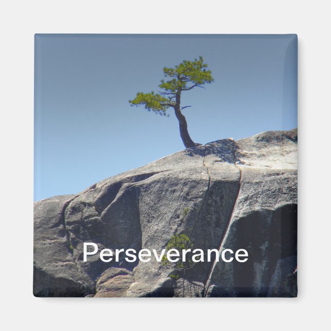 Perseverance ~ Magnet (Front)