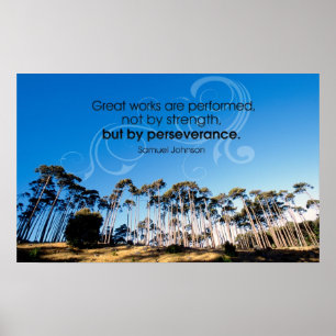 Perseverance Motivational Poster Print