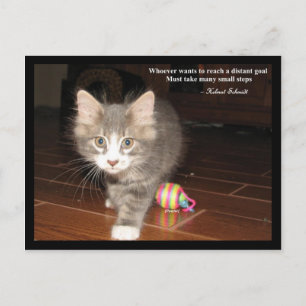 Perseverance Postcard