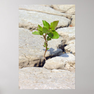 perseverance poster