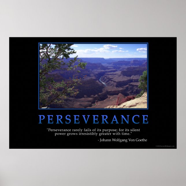 Perseverance Poster (Front)