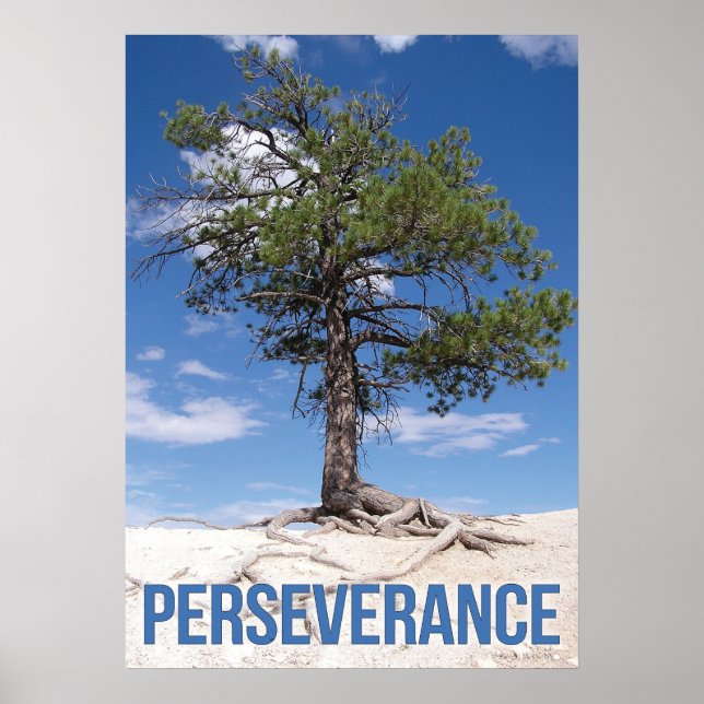 Perseverance Tree Motivational Poster (Front)