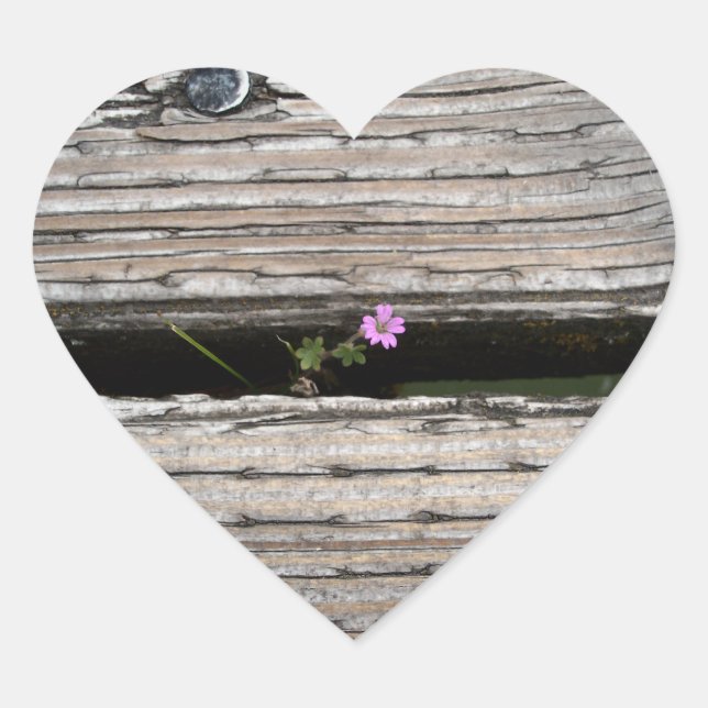Perseverence Heart Sticker (Front)