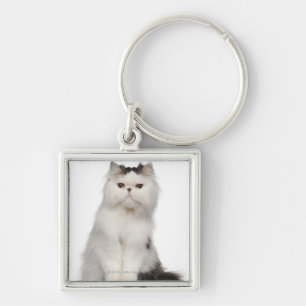 Persian (10 months old) sitting key ring