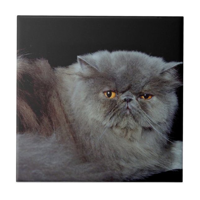 Persian Blue Tile (Front)