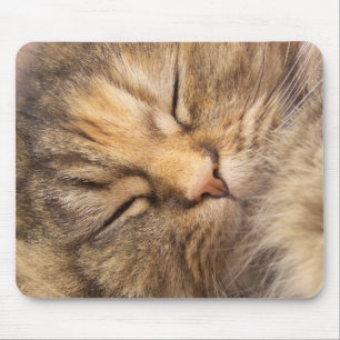 Persian Cat Asleep Mouse Mat