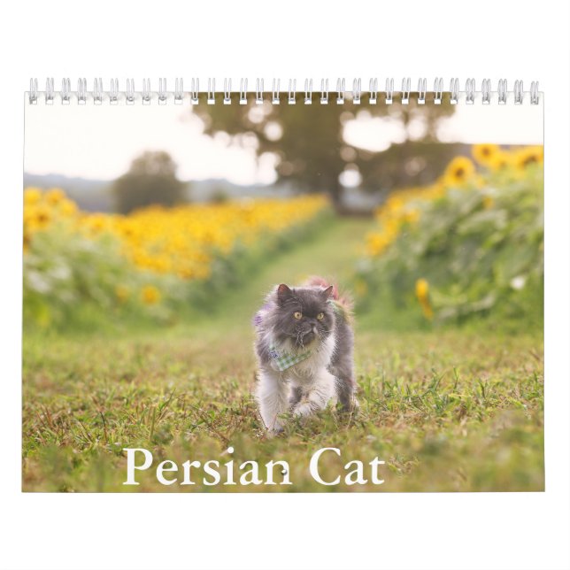 Persian Cat Calendar (Cover)