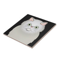 White flat hot sale face cat