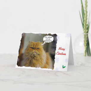 Persian Cat Christmas Card