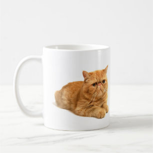 Persian cat coffee mug