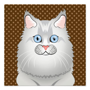 Persian Cat (Doll-Face) Cartoon Photo Print