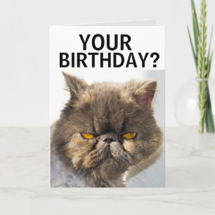 PERSIAN CAT FUNNY BIRTHDAY CARD