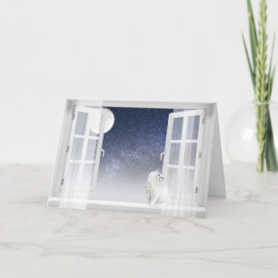 Persian Cat In Window Holiday Card