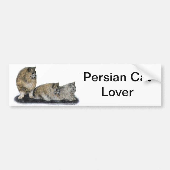 Persian Cat Lover Artwork Bumper Sticker (Front)