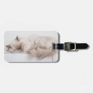 Persian Cat Luggage Tag