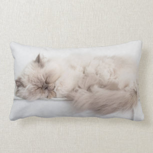 Persian Cat Lumbar Cushion