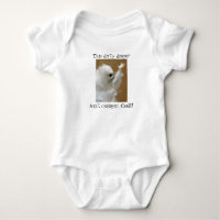 Persian cat meme Dirty Diaper