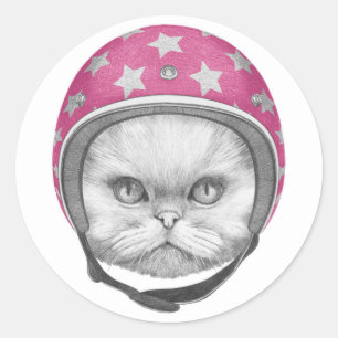 Persian Cat Motorcycle Rider Classic Round Sticker
