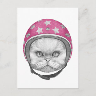 Persian Cat Motorcycle Rider Postcard